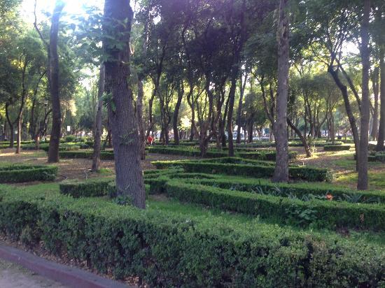 Museo Dolores Olmedo